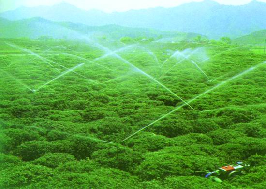 智能灌溉系统