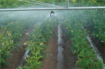农业智能灌溉