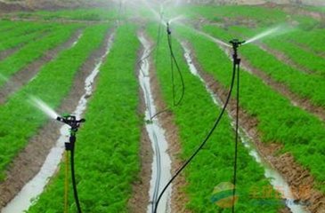 自动灌溉控制器